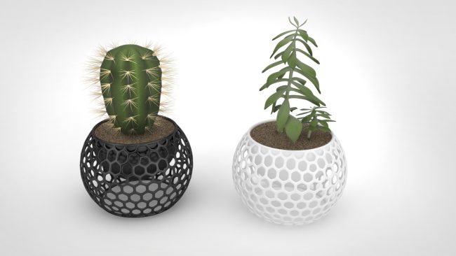 Cava plant pot
